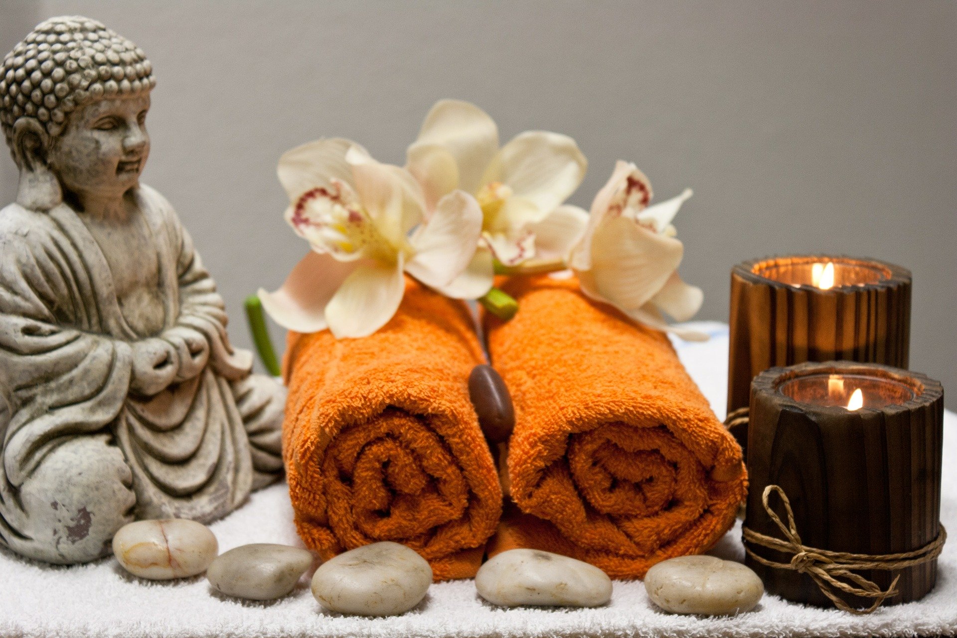 wellness1